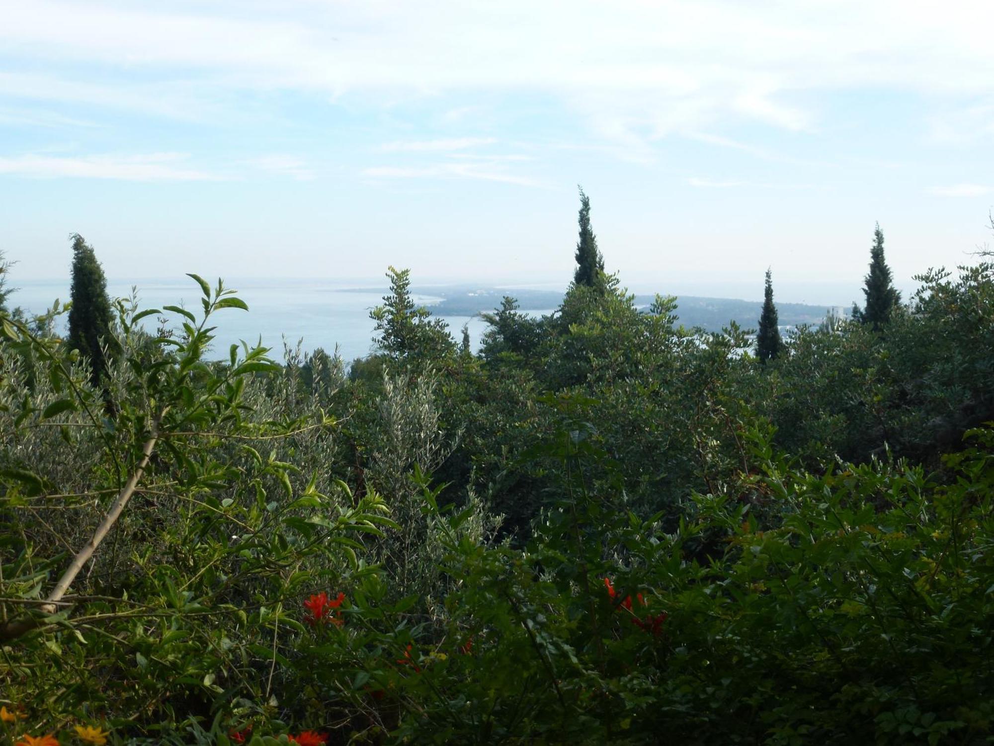 Ha Mar Ao Luar Ξενοδοχείο Σετούμπαλ Εξωτερικό φωτογραφία