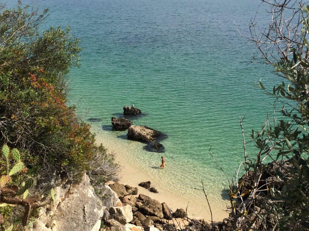 Ha Mar Ao Luar Ξενοδοχείο Σετούμπαλ Εξωτερικό φωτογραφία